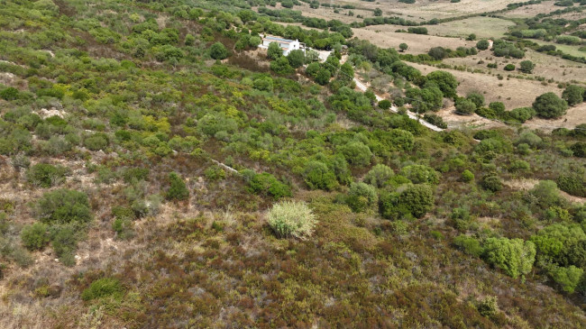 Terreno Agricolo in vendita a Arzachena
