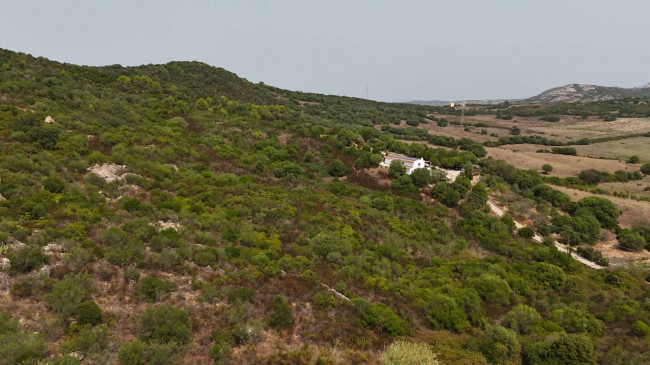 Terreno Agricolo in vendita a Arzachena