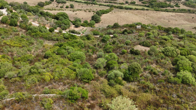 Terreno Agricolo in vendita a Arzachena