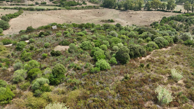 Terreno Agricolo in vendita a Arzachena