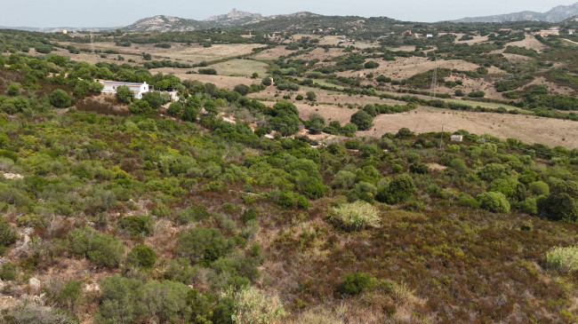 Terreno Agricolo in vendita a Arzachena