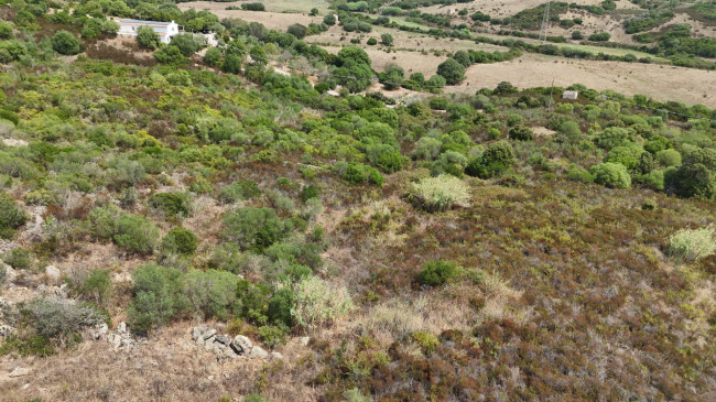 Terreno Agricolo in vendita a Arzachena