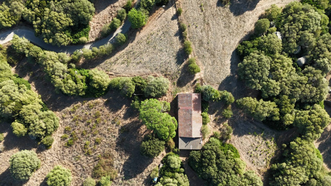 Stazzo Giacumoni in vendita a Luogosanto