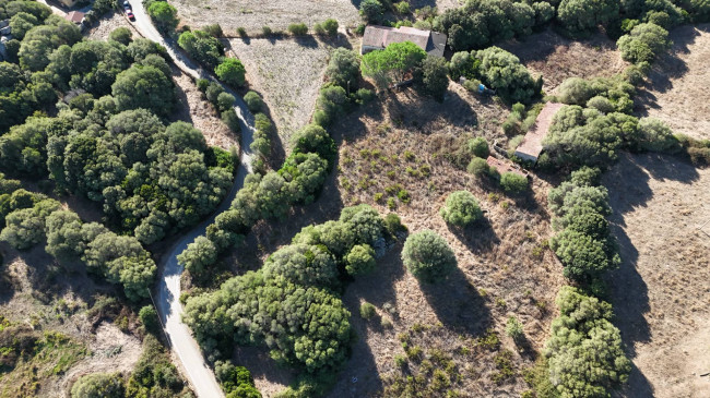 Stazzo Giacumoni in vendita a Luogosanto