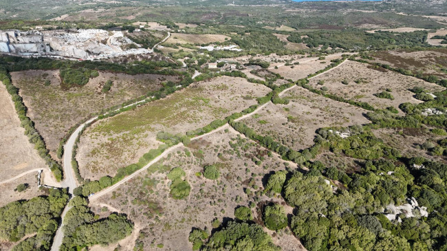 Stazzo Giacumoni in vendita a Luogosanto