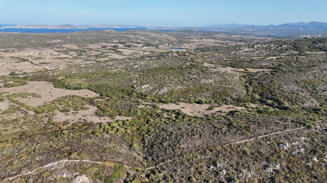 Terreno Agricolo in vendita a Santa Teresa Gallura