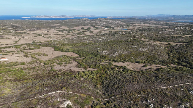 Terreno Agricolo in vendita a Santa Teresa Gallura