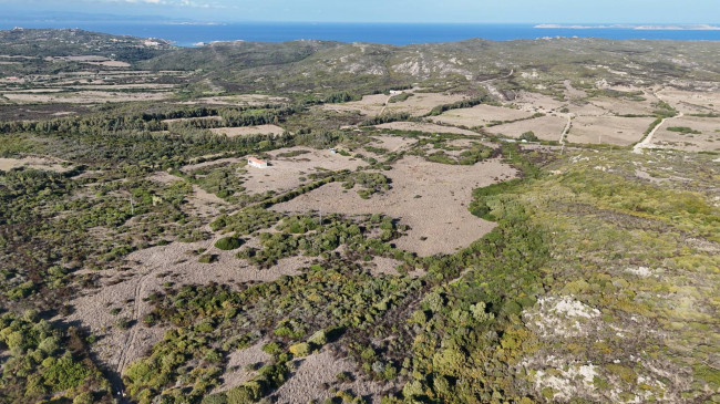 Terreno Agricolo in vendita a Santa Teresa Gallura