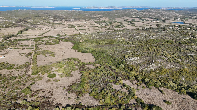 Terreno Agricolo in vendita a Santa Teresa Gallura