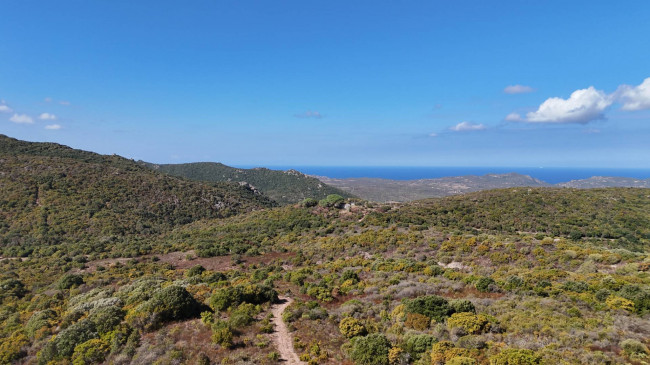 Terreno Agricolo in vendita a Aglientu