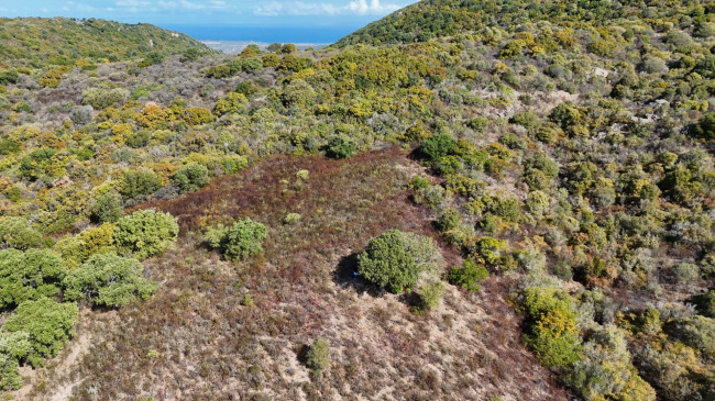 Terreno Agricolo in vendita a Aglientu