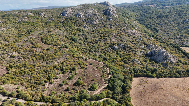 Terreno Agricolo in vendita a Aglientu