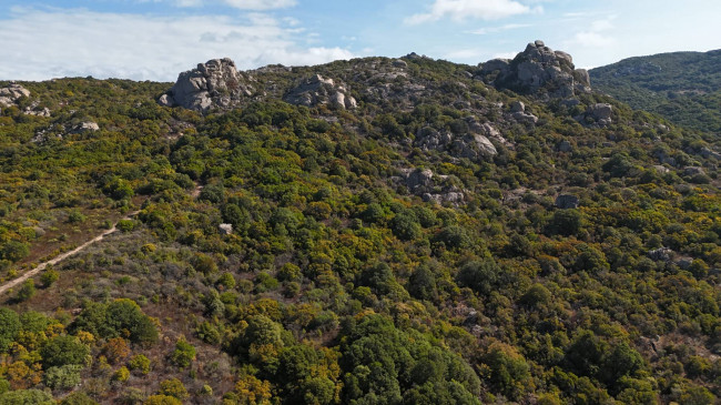 Terreno Agricolo in vendita a Aglientu