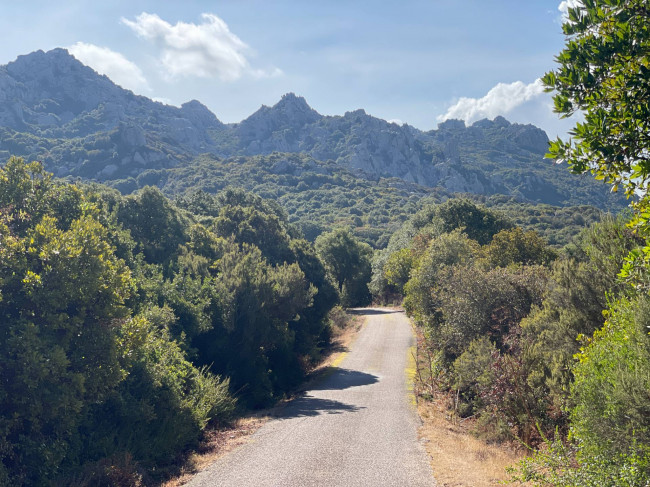 Terreno Agricolo in vendita a Aglientu