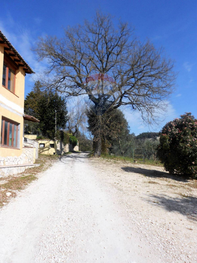 Casa singola in vendita a Narni