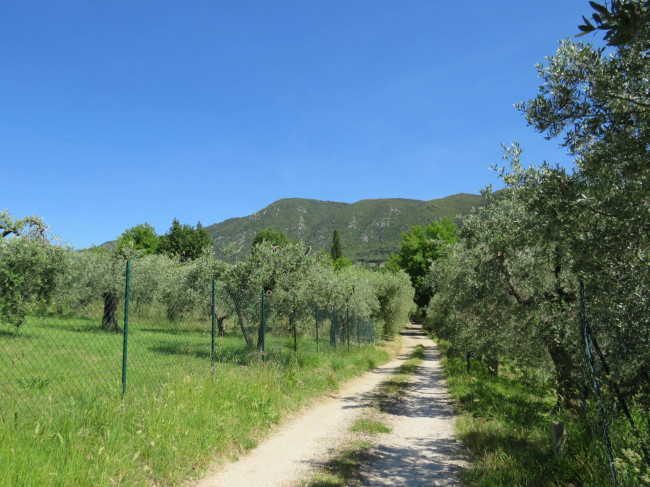 Casa Semindipendente in vendita a Terni