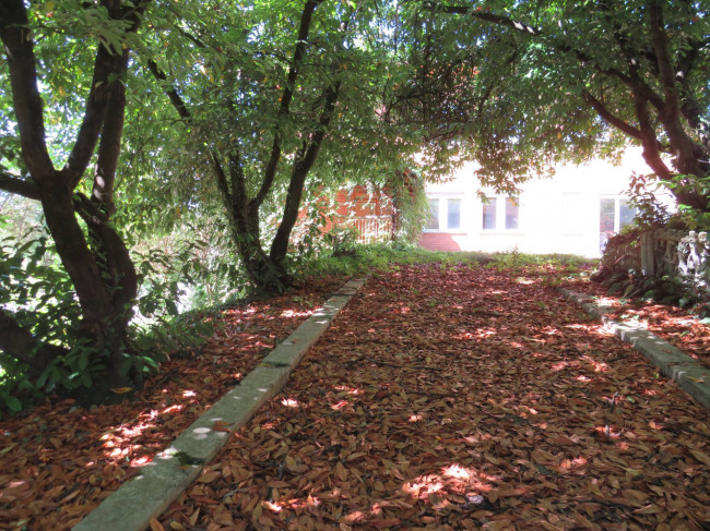 Casa Semindipendente in vendita a Terni