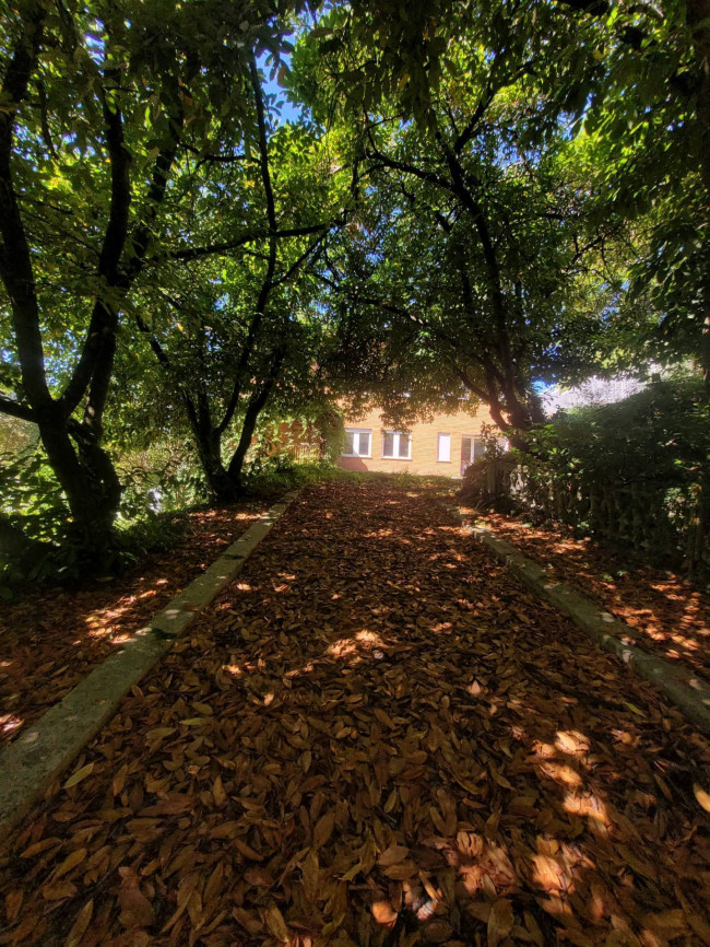 Casa Semindipendente in vendita a Terni