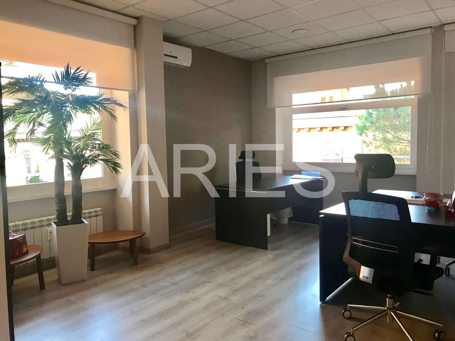 Studio/Ufficio in affitto a Roma