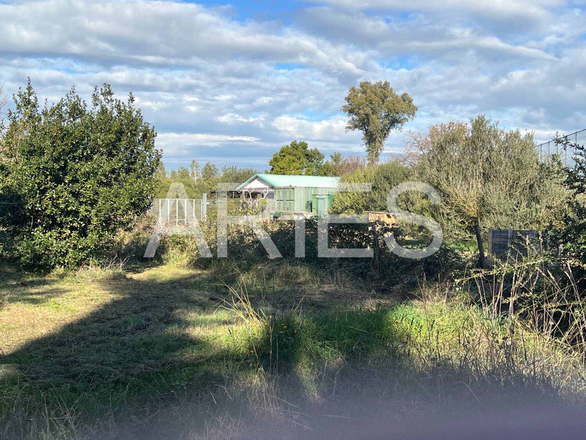 Terreno Agricolo in vendita a Roma