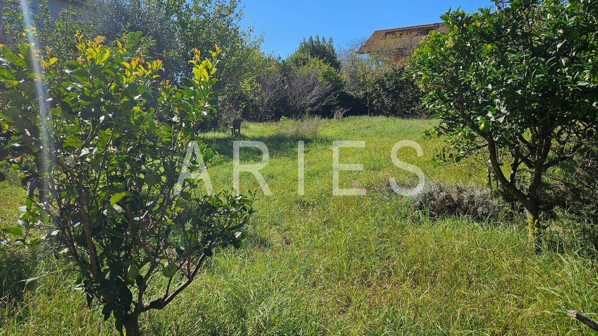 Terreno Agricolo in vendita a Roma