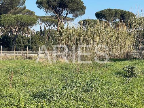 Terreno Agricolo in vendita a Roma