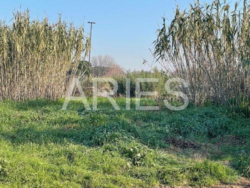 Terreno Agricolo in vendita a Roma