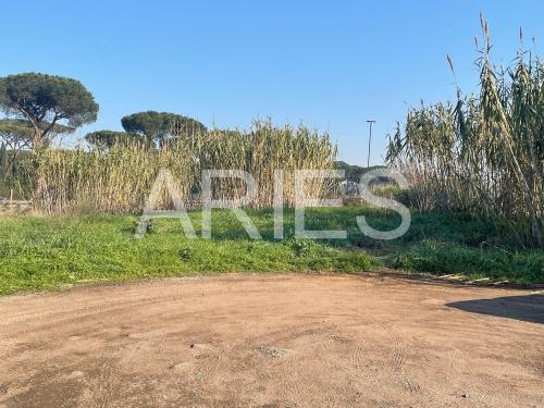 Terreno Agricolo in vendita a Roma