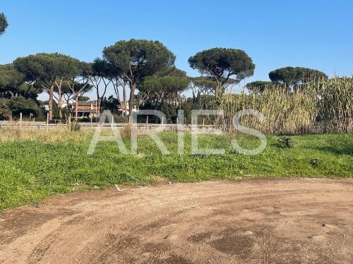 Terreno Agricolo in vendita a Roma