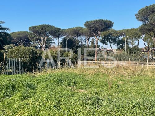 Terreno Agricolo in vendita a Roma