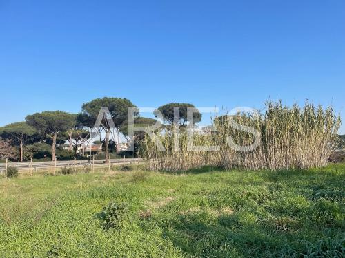 Terreno Agricolo in vendita a Roma