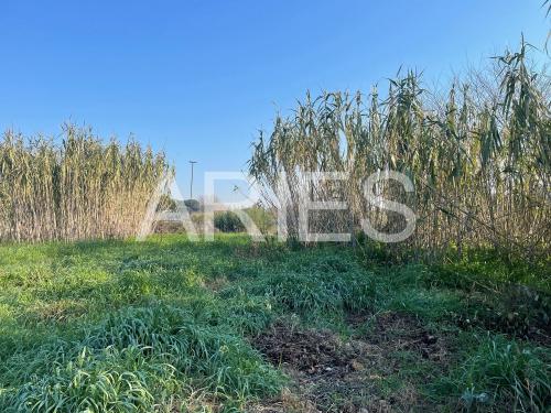 Terreno Agricolo in vendita a Roma