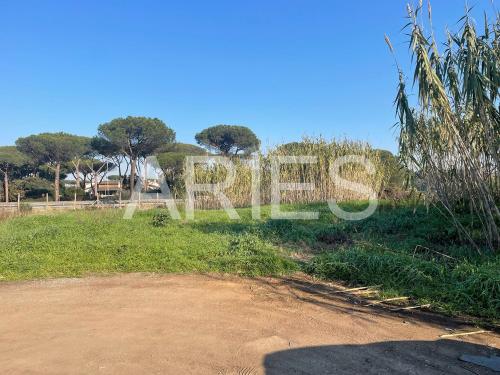 Terreno Agricolo in vendita a Roma