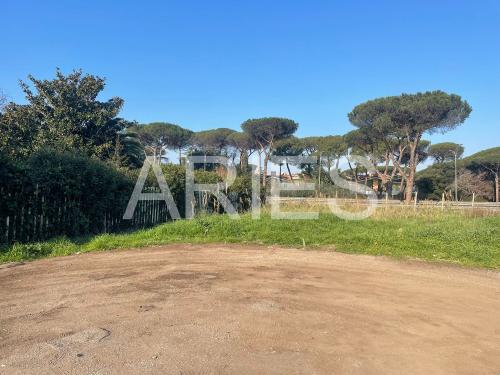 Terreno Agricolo in vendita a Roma