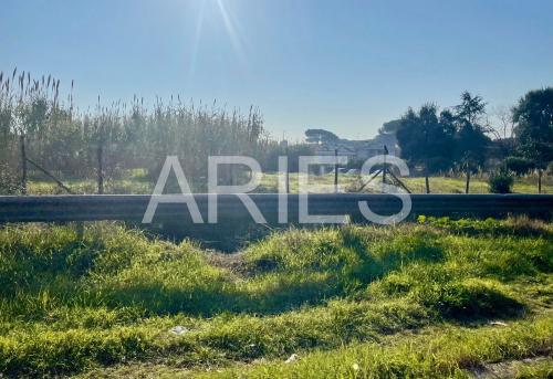 Terreno Agricolo in vendita a Roma