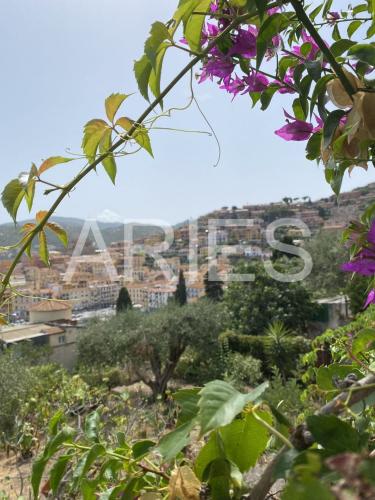 Terreno Residenziale in vendita a Monte Argentario