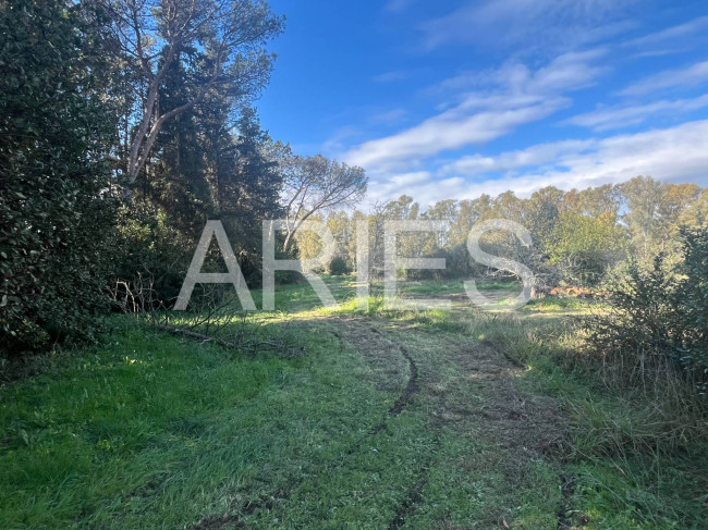 Terreno Agricolo in vendita a Roma