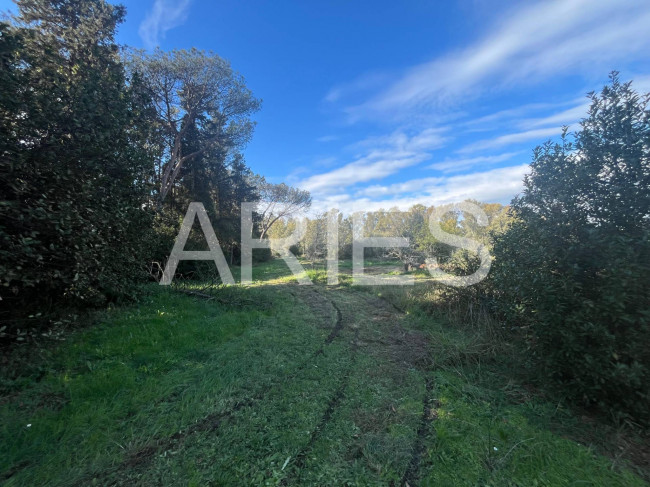 Terreno Agricolo in vendita a Roma