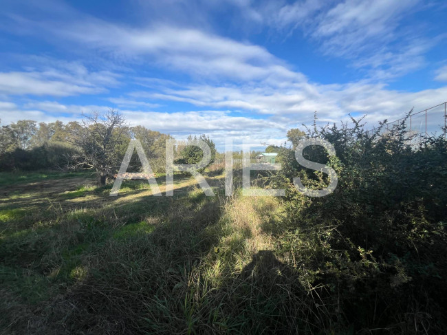 Terreno Agricolo in vendita a Roma