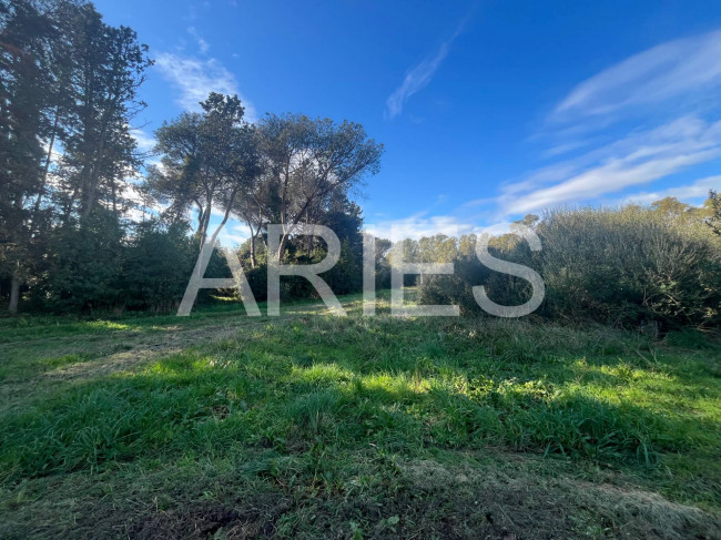 Terreno Agricolo in vendita a Roma