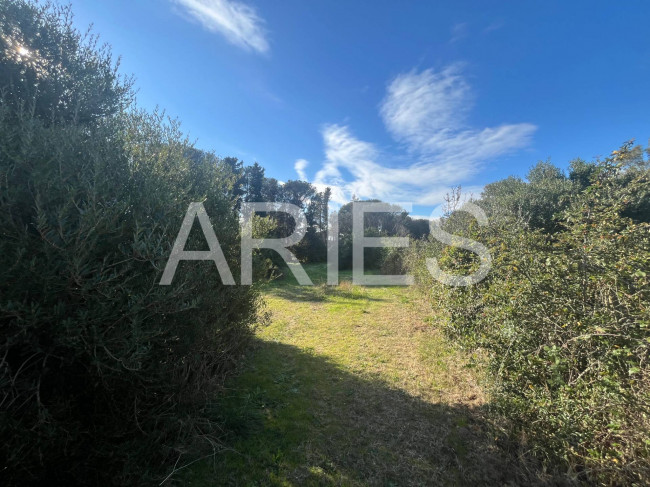 Terreno Agricolo in vendita a Roma