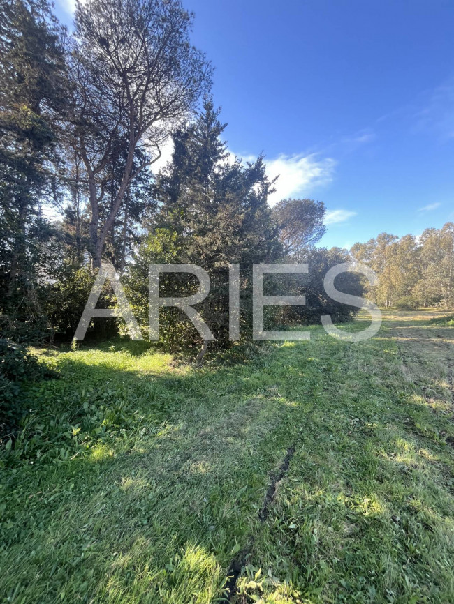 Terreno Agricolo in vendita a Roma