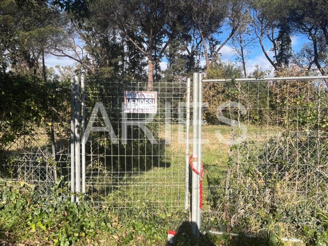 Terreno Agricolo in vendita a Roma