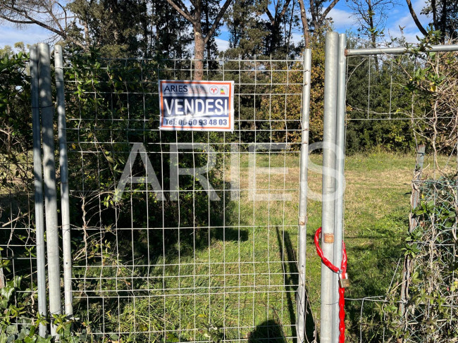 Terreno Agricolo in vendita a Roma