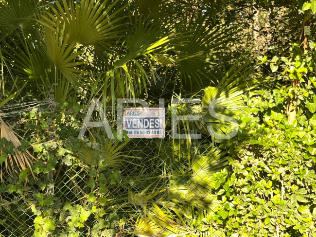 Terreno Agricolo in vendita a Roma