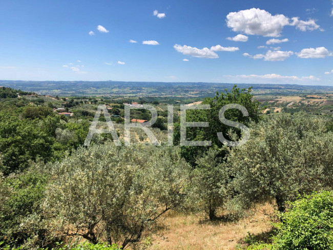 Terreno Agricolo in vendita a Montecchio
