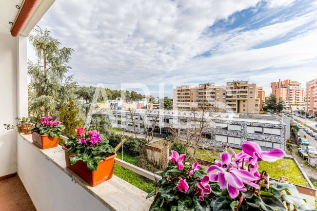 Appartamento in affitto a Roma