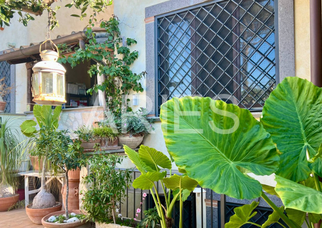 Villette a schiera in vendita a Fiumicino