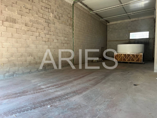 Capannone in affitto a Roma