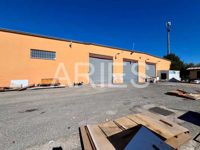 Capannone in affitto a Roma